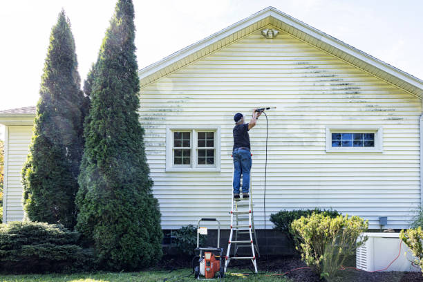 Best Spring Cleaning  in Belle Plaine, KS